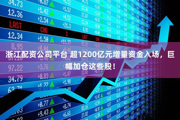 浙江配资公司平台 超1200亿元增量资金入场，巨幅加仓这些股！