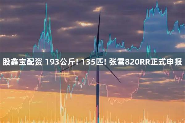 股鑫宝配资 193公斤! 135匹! 张雪820RR正式申报